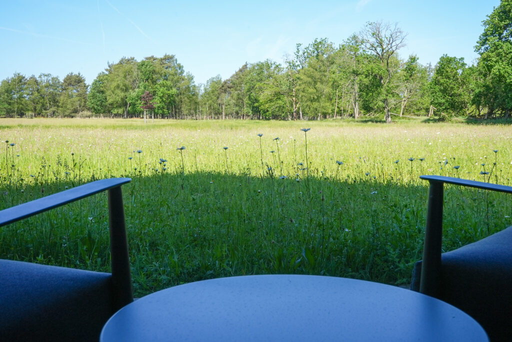Uitzicht over de weide vanuit Bed & Breakfast De Koningshoeve